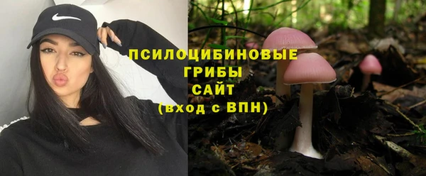 a pvp Алзамай