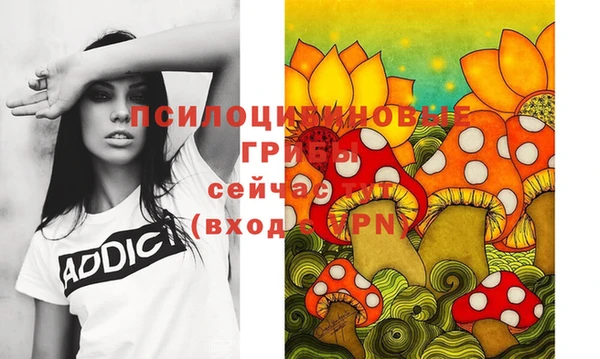 МДПВ Алексеевка
