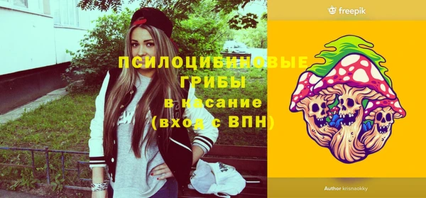 МДПВ Алексеевка